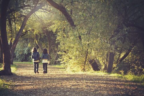 bos, children, kids, walking, wandelroute, panbos, wandelen, kinderen