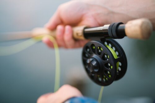 Zeevissen, Vissen, hengel, fly fishing, fishing rod, fishing zeevissen, hengel, vissen, fly fishing, fishing rod, fishing, evenementen