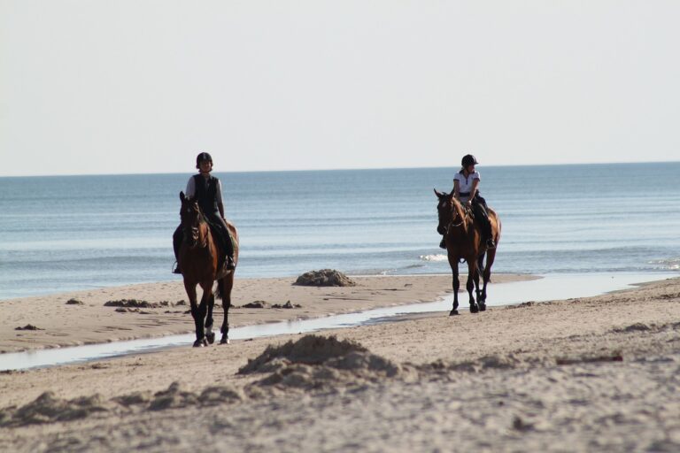 Paarden op het strand