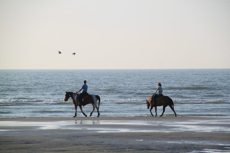 Paarden op het strand