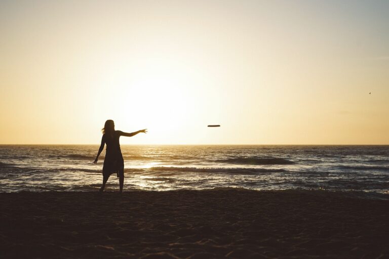 frisbee, sunset, dusk, sky, Frisbeeën