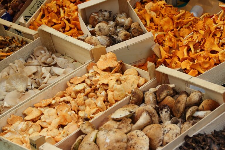 mushrooms, chanterelles, market, markten