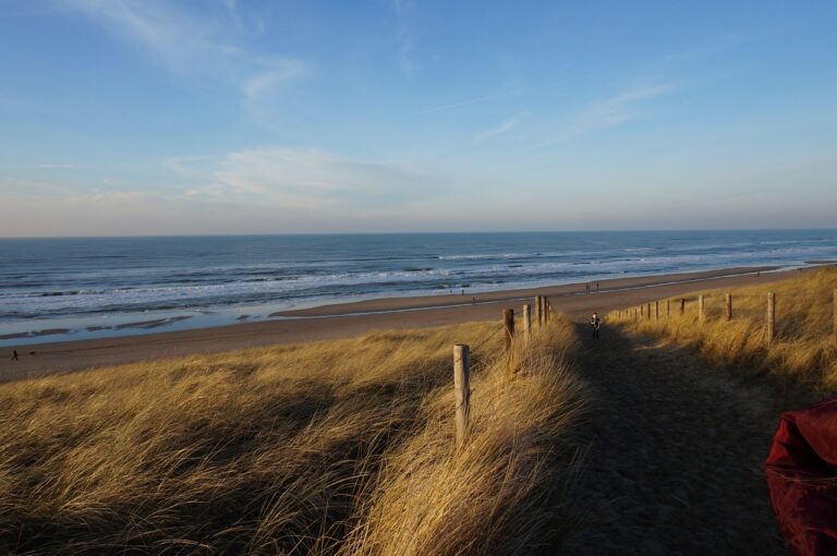 sun, sea, beach, strand, zee, wandelen, wandelroute