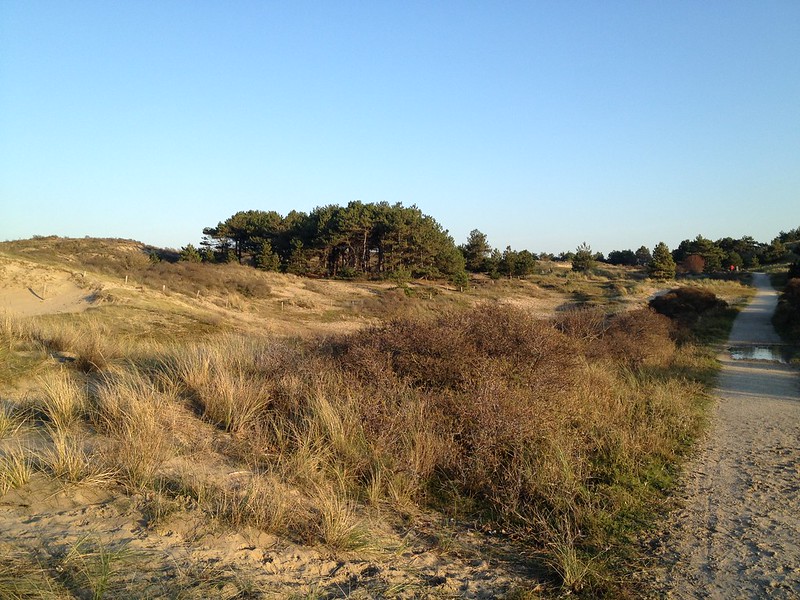 Najaarswandeling in de duinen, Najaarswandeling maken in Katwijk aan Zee - medium
