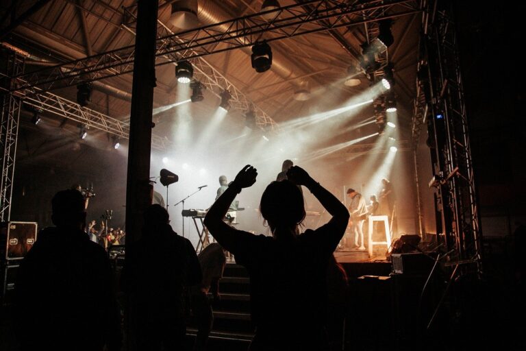 Concert crowd