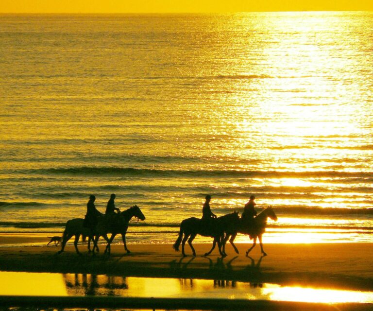 Paarden op strand, zonsondergang
