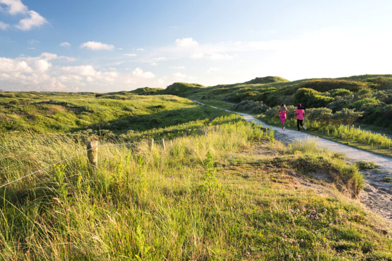 Berkheide, Wandelen in duinen