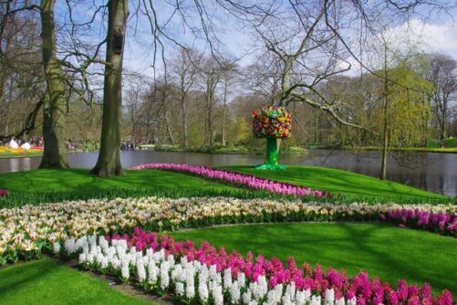 wandelroute, wandelen, bollenstreek, keukenhof